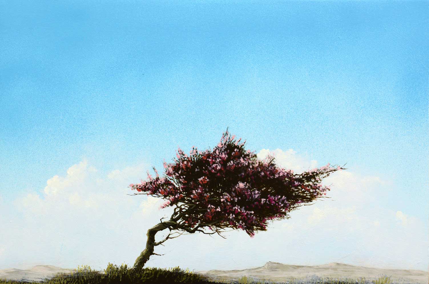 Desert Bloom painting by Robert Marchessault