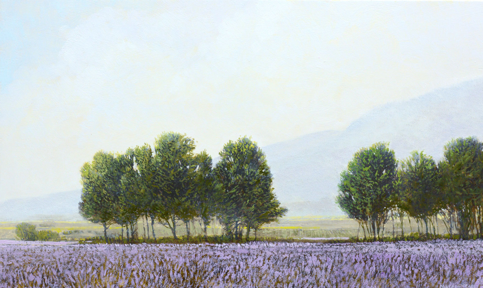 Lavender Farm by Robert Marchessault
