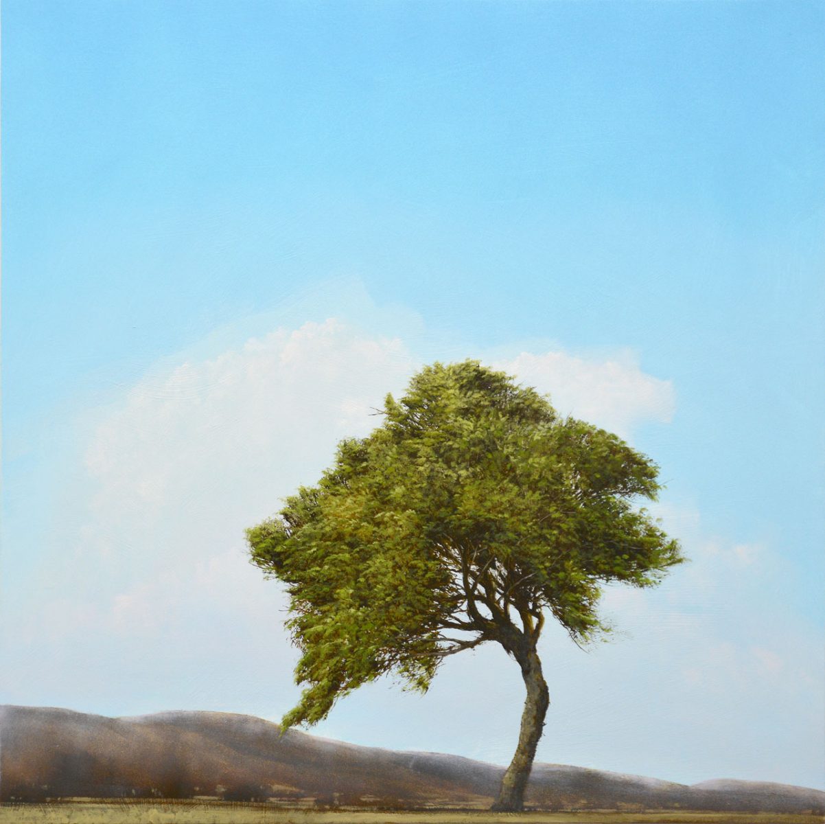 tree painting by artist Robert Marchessault