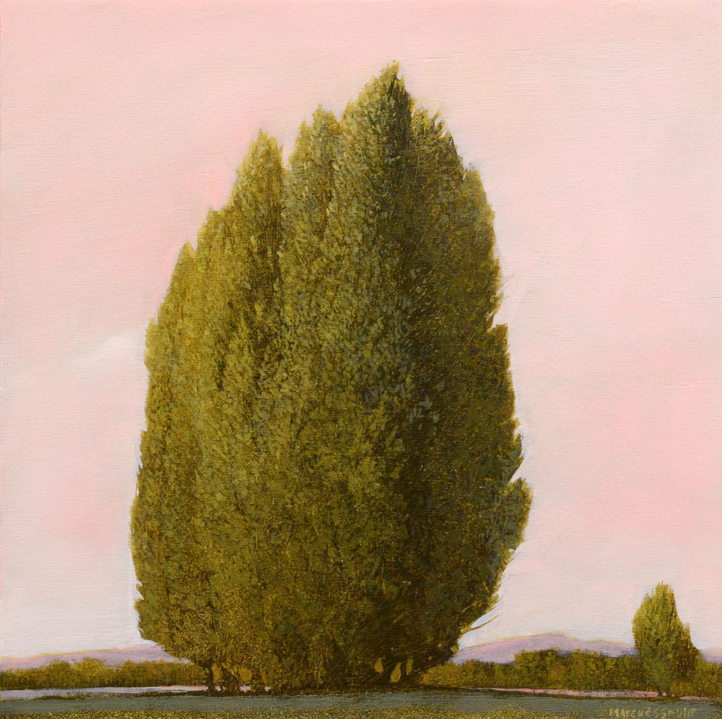 Grand Cedars by Robert Marchessault