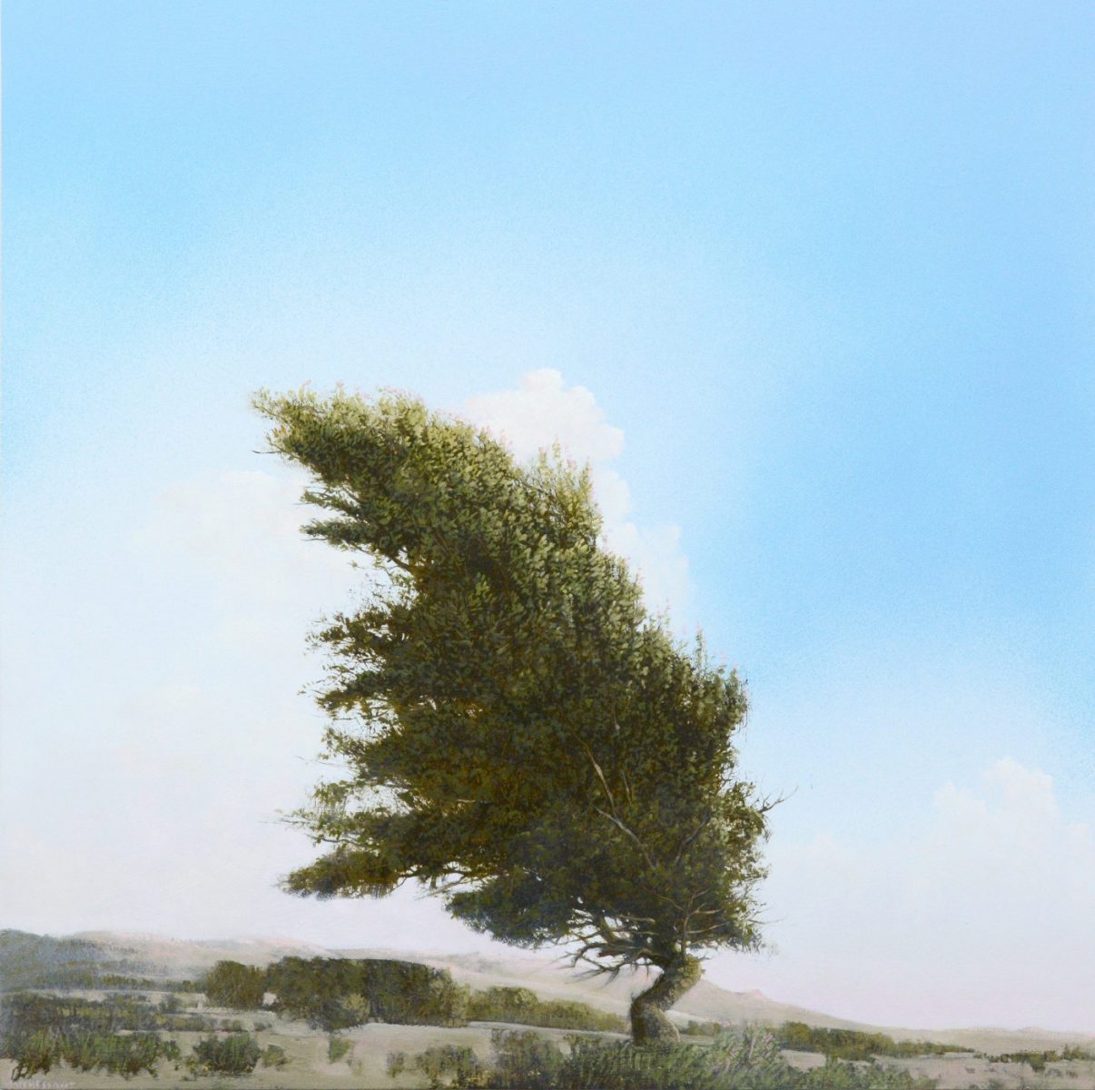 Seven Bird Tree by Robert Marchessault