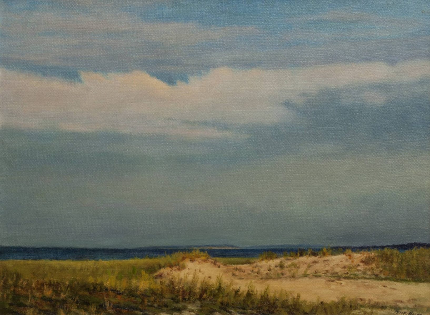 Dunes along the Coast painting by Peter Hagen