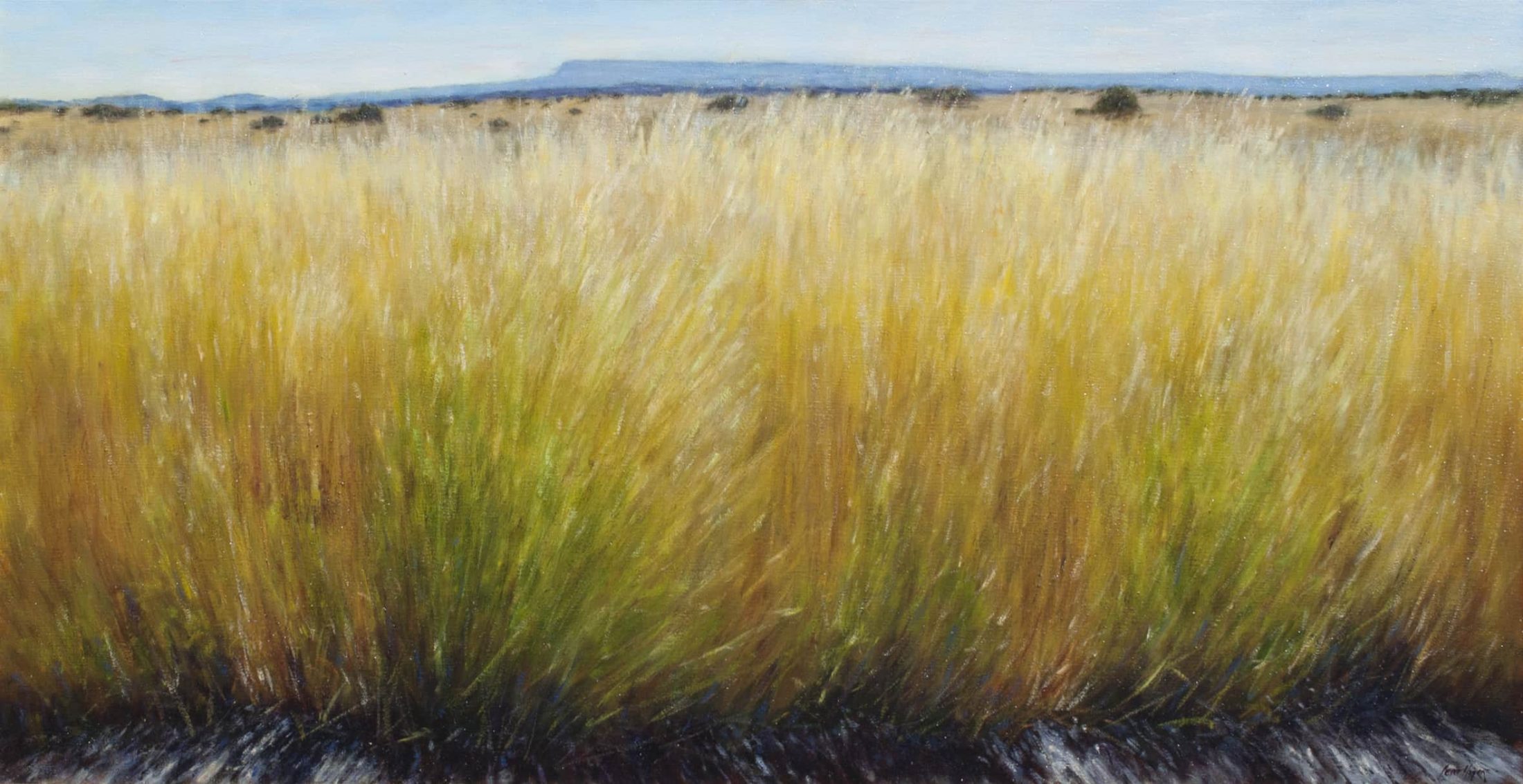 Grasses by Peter Hagen