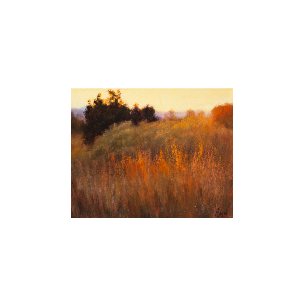 Grasses at Sunset painting by Peter Hagen