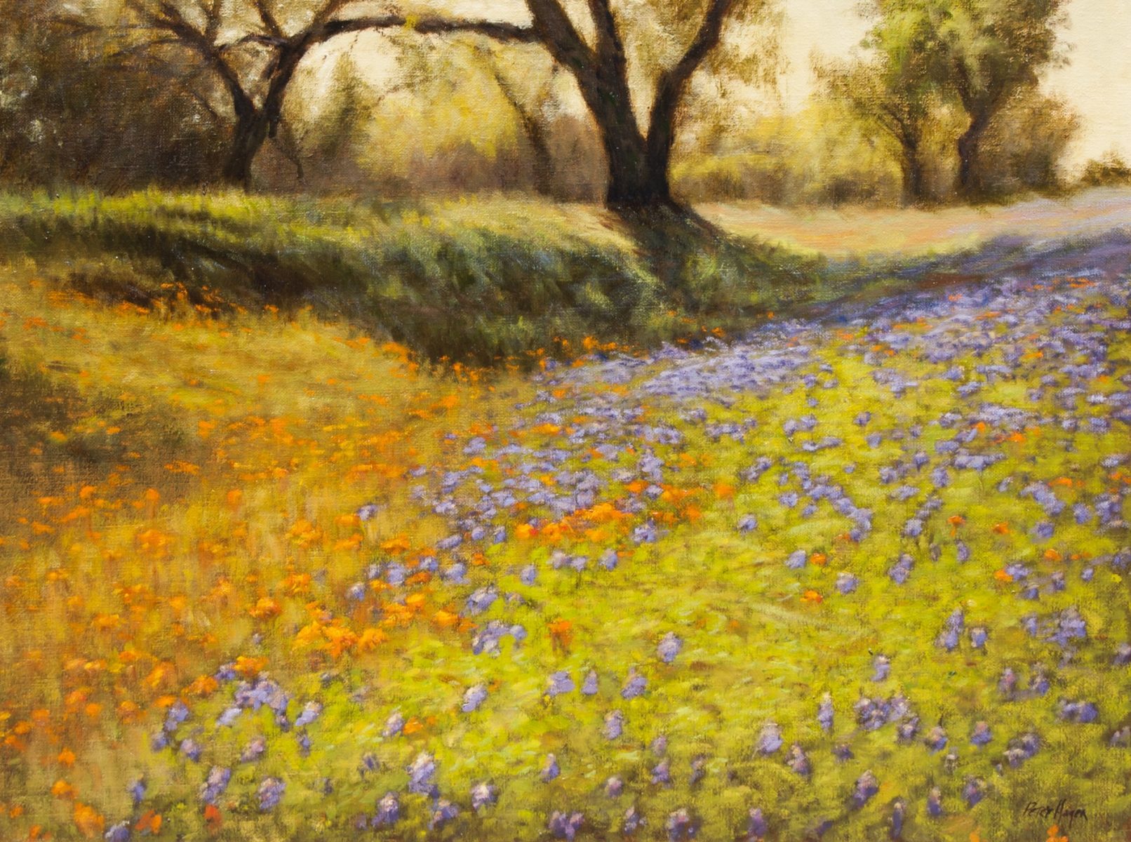 Painting of the Texas Hill Country by Peter Hagen