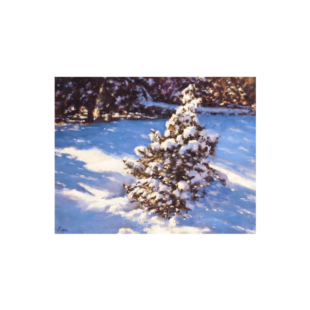 Lone Winter Pine by Peter Hagen