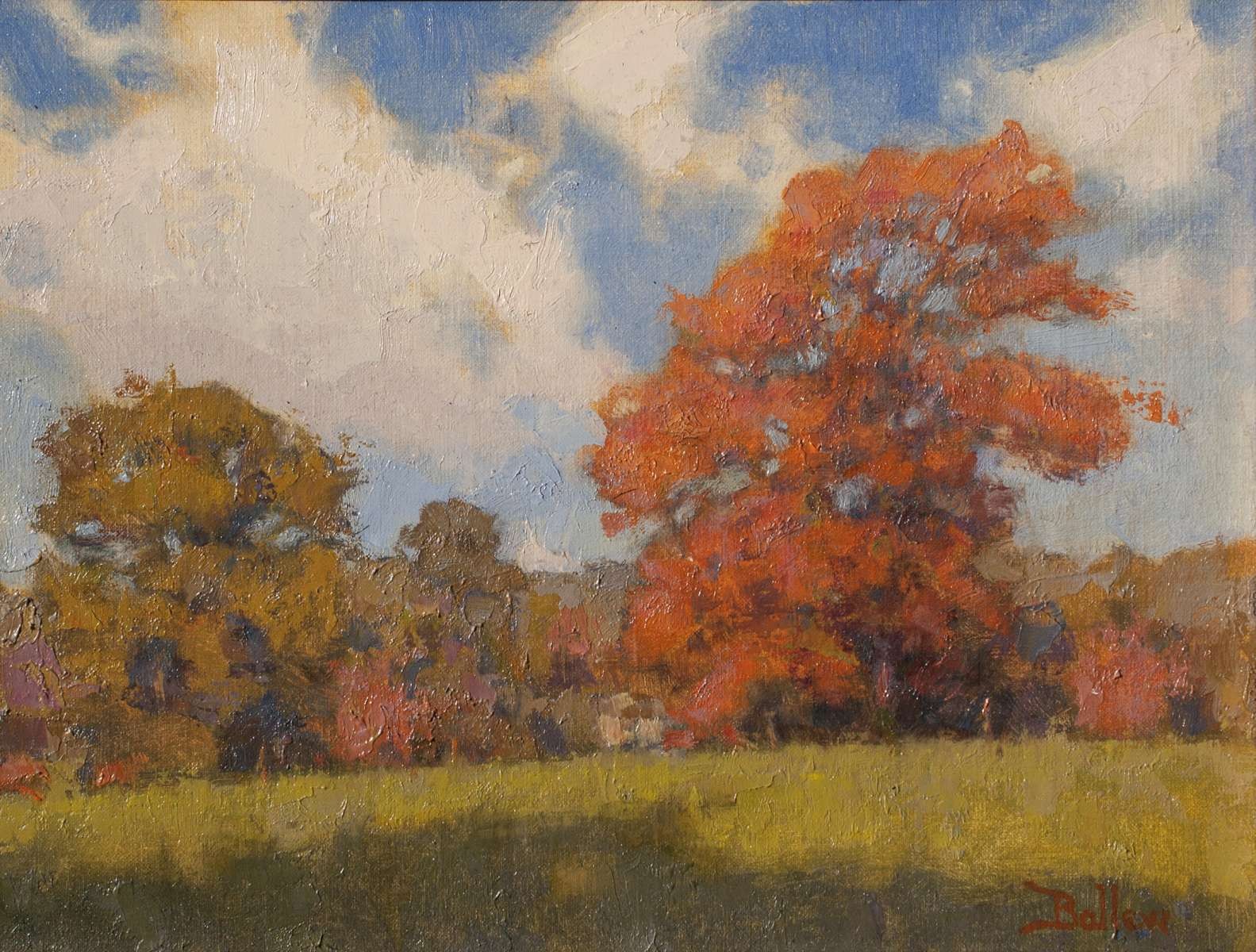 October Maple by David Ballew