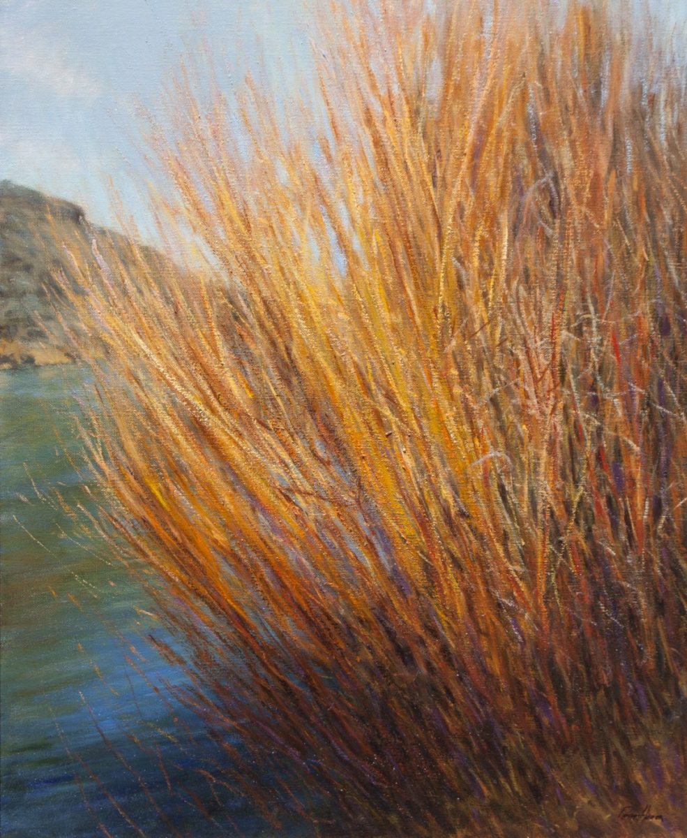 Rio Willows painting by Peter Hagen