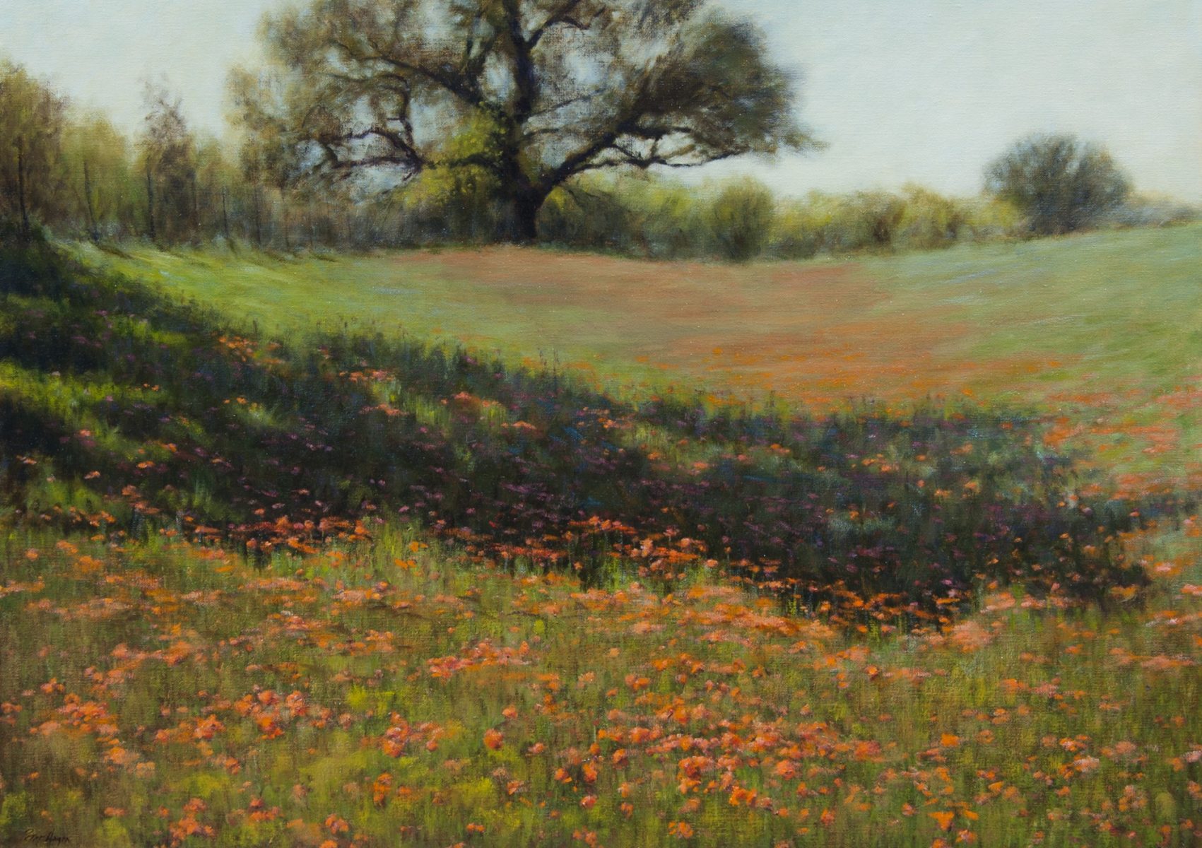 Spring in the Hill Country painting by Peter Hagen