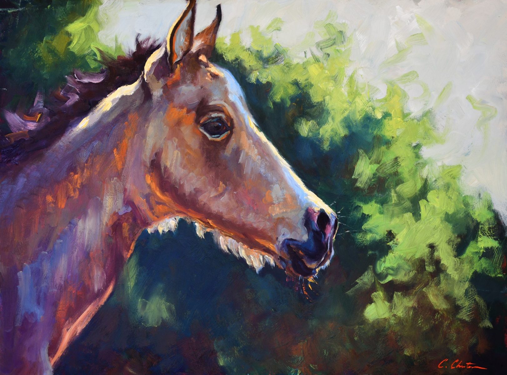 Oil painting of colt by Cheri Christensen