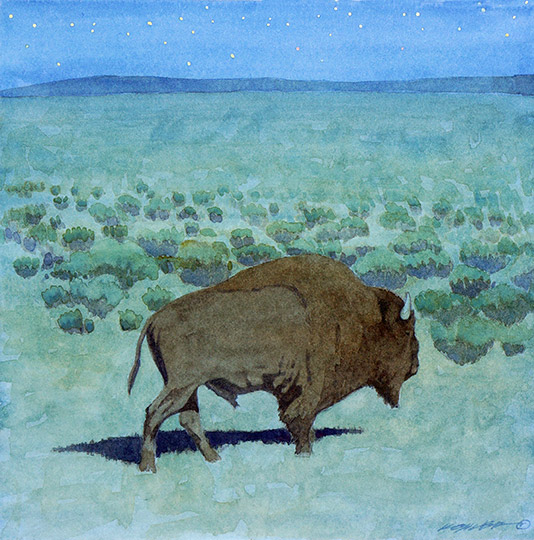 Watercolor painting of bison in evening by Mark Kohler