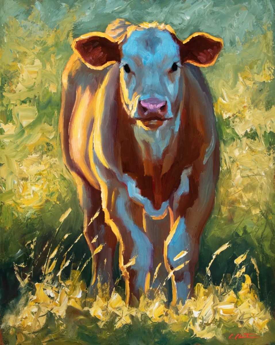 Oil painting of cow by Cheri Christensen