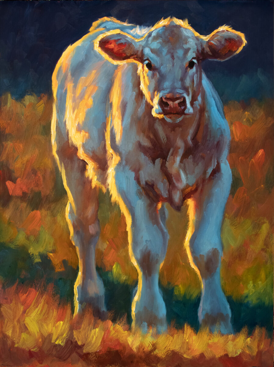 Oil painting of cow by Cheri Christensen